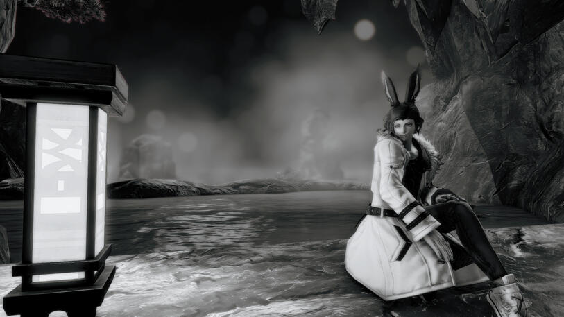 Hotspring Bunny
